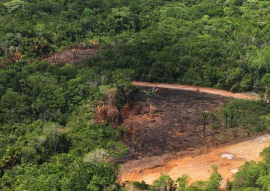 Área de desmatamento (COP28/BNDES)da floresta amazônica no Pará - Foto: Cristino Martins/Agência Pará