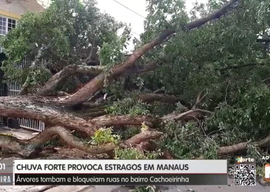 Chuva rápida provocou diversas ocorrências - Foto: Reprodução/TV Norte Amazonas