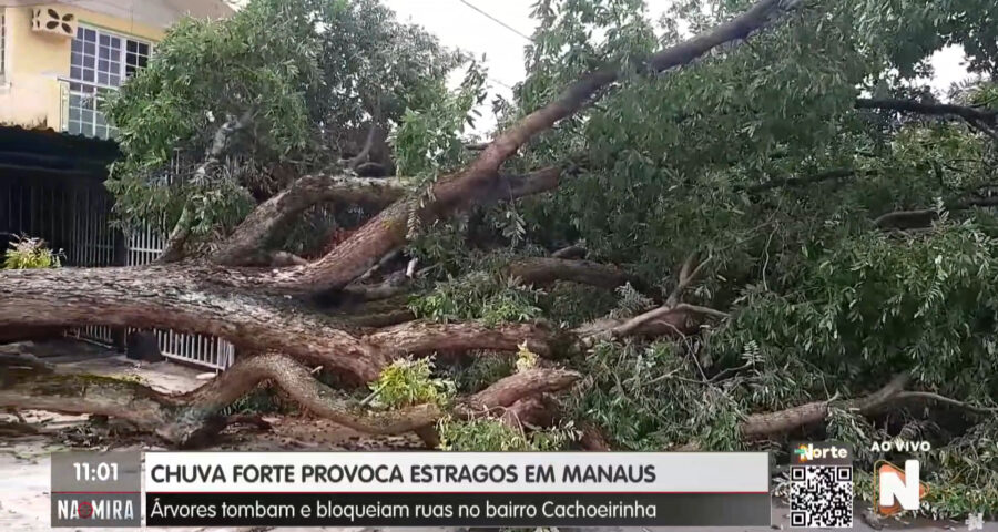 Chuva rápida provocou diversas ocorrências - Foto: Reprodução/TV Norte Amazonas