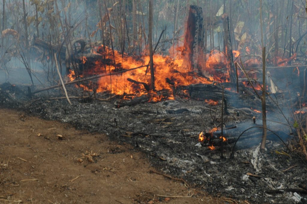 Calendário de queimadas segue aberto até 8 de dezembro em Roraima