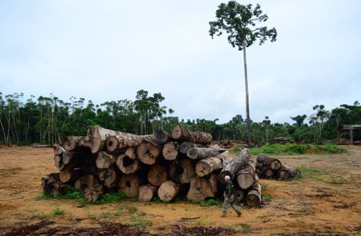 Exploração mapeada no estado foi de 14.976 hectares - Foto: Divulgação/Imazon