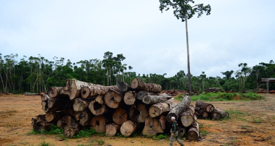 Exploração mapeada no estado foi de 14.976 hectares - Foto: Divulgação/Imazon