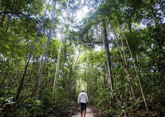 Duas florestas nacionais e 17 parques devem sair do programa de privatização por recomendação do governo -Foto: Marcelo Camargo/Agência Brasil