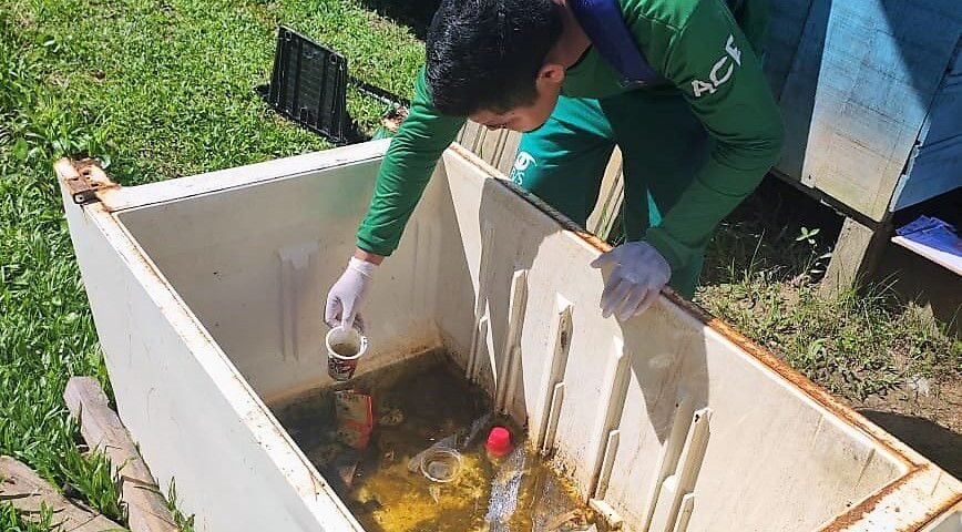 Prevenção é melhor remédio para combater dengue e demais doenças transmitidas pelo Aedes aegypti - Foto: Divulgação/FVS-RCP