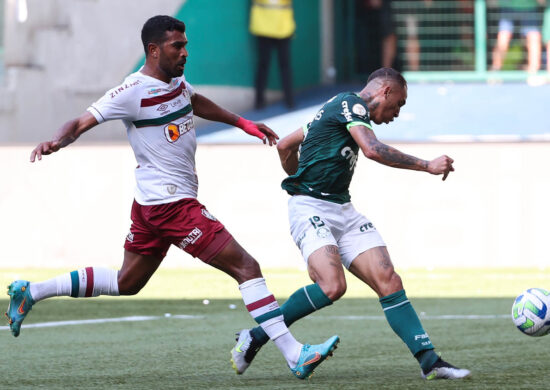 Palmeiras vence o Fluminense neste domingo (3), pela 37ª rodada do Brasileirão - Foto: Reprodução/Cesar Greco/Palmeiras/by Canon