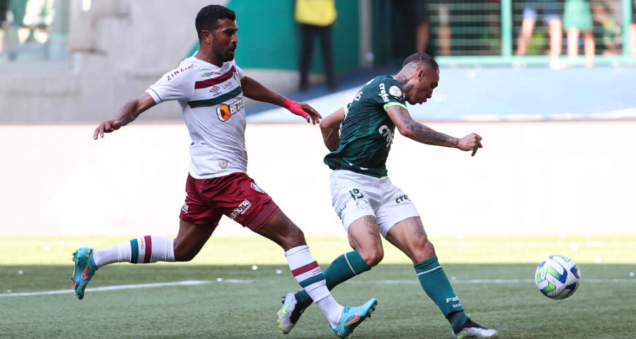 Palmeiras vence o Fluminense neste domingo (3), pela 37ª rodada do Brasileirão - Foto: Reprodução/Cesar Greco/Palmeiras/by Canon