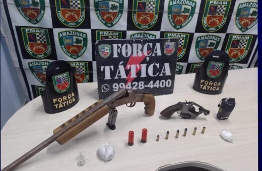 Armas foram apreendidas em ações de fiscalização da polícia - Foto: Divulgação/PMAM