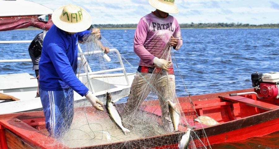 Pagamento do auxílio para pescadores começa nesta quarta (6) - Foto: Divulgação/Sepror