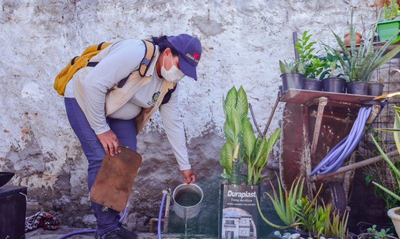 Agentes de endemias no combate ao Aedes aegypti - Foto: Prefeitura de Boa Vista