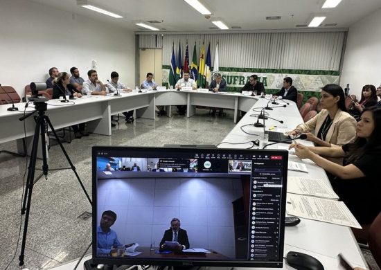 Reunião ocorreu por videoconferência - Foto: Layana Rios/Suframa