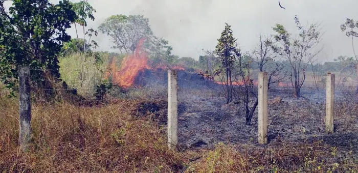 Calendário de queimadas segue aberto até 8 de dezembro em Roraima