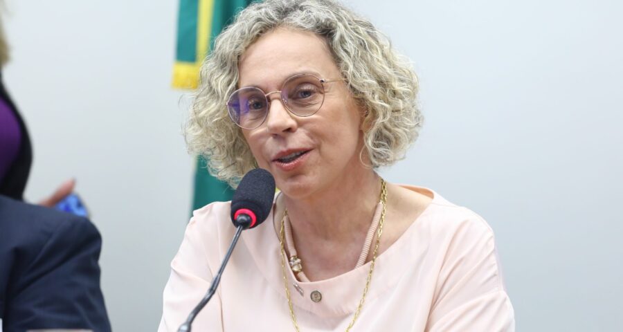 Deputada Ana Paula Lima (PT-SC) durante a leitura do relatório - Foto: Vinicius Loures/Câmara dos Deputados