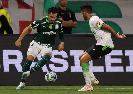 Palmeiras tem a possibilidade de ser o campeão do Brasileirão - Foto: Reprodução/Cesar Greco/Palmeiras/by Canon