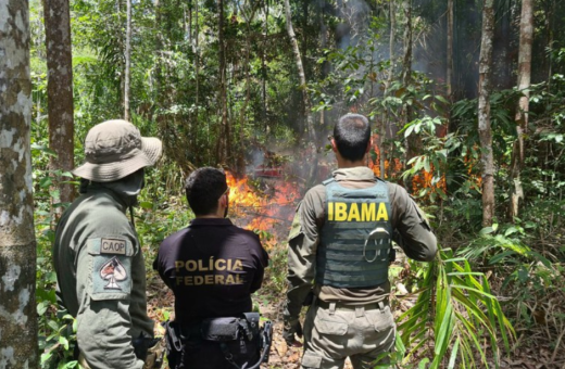 Operações contra o garimpo ilegal na TI Yanomami - Foto: Divulgação / PF