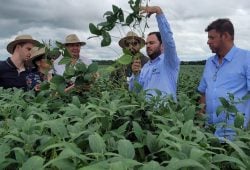 Comitiva Americana visita lavouras de soja no sul do Tocantins