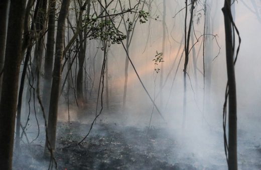 Amazonas tem aumento de 180% em queimadas comparado a 2023