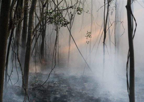 Amazonas tem aumento de 180% em queimadas comparado a 2023