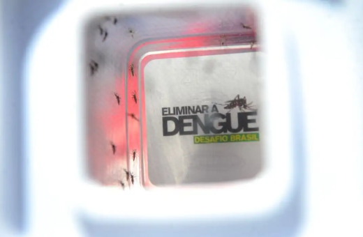 Brasil pode ter até 5 milhões de casos de dengue em 2024
