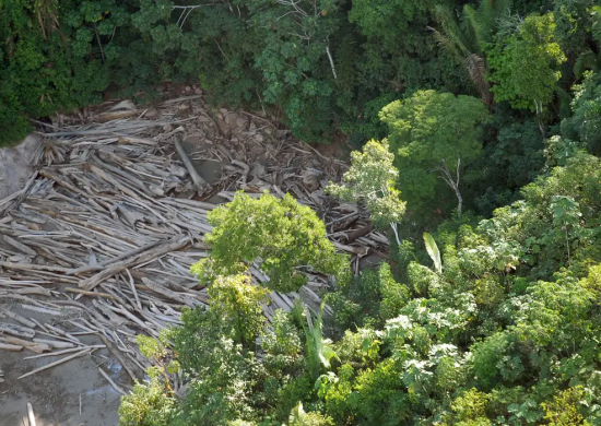 Desmatamento em áreas protegidas da Amazônia é quatro vezes menor em 1 ano