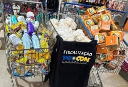 Equipe de fiscais apreendeu ao todo 1.418 produtos, após denúncia de consumidores - Foto: Procon/Governo do Tocantins