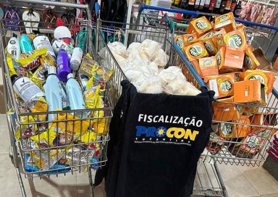 Equipe de fiscais apreendeu ao todo 1.418 produtos, após denúncia de consumidores - Foto: Procon/Governo do Tocantins