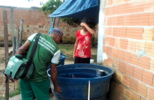 Pelos menos 15 municípios amazonenses confirmaram casos de pessoas infectadas pelo Aedes aegypti - Divulgação/FVSRCP