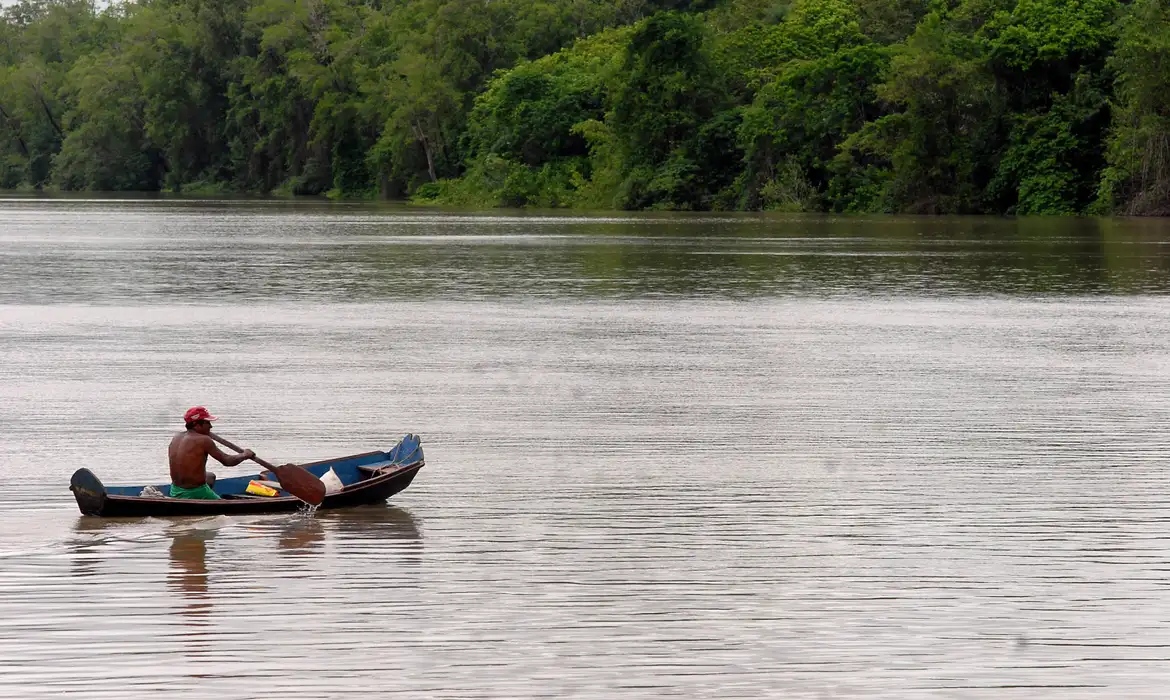 Relatório da ONU aponta que crimes na Amazônia ameaçam povos indígenas