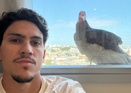 Jogador do Flamengo, Pedro registra urubu na janela de hotel em Manaus