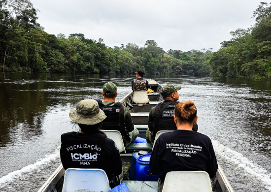 Paralisação no Ibama e ICMBio ameaça atividades na área Yanomami