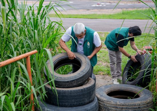 Prevenção terrenos vazios podem ter focos de dengue