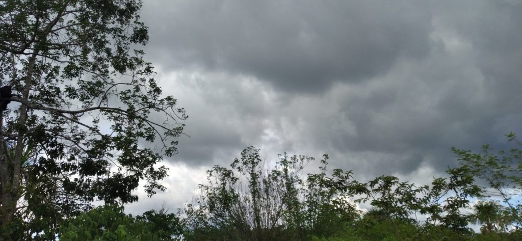Previsão do tempo confira o clima para esta quarta (1) em Manaus - Foto: Portal Norte