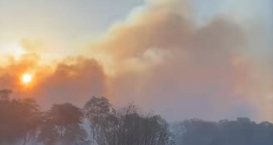 Área incendiada do Parque Cocó, em Fortaleza - Foto: Reprodução/Instagram Governo do Ceará @governodoceara