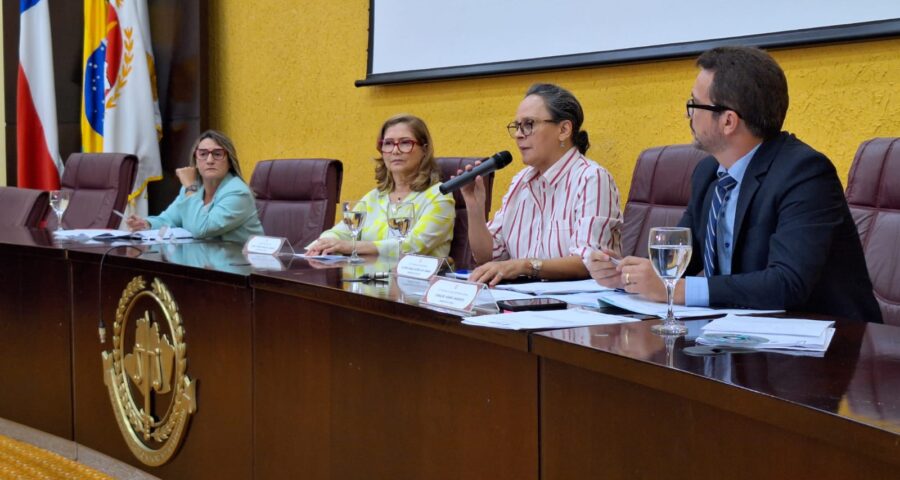 Coletiva do MPAM ocorreu na tarde desta quarta-feira (31) - Foto: Luzimar Bessa/TV Norte Amazonas