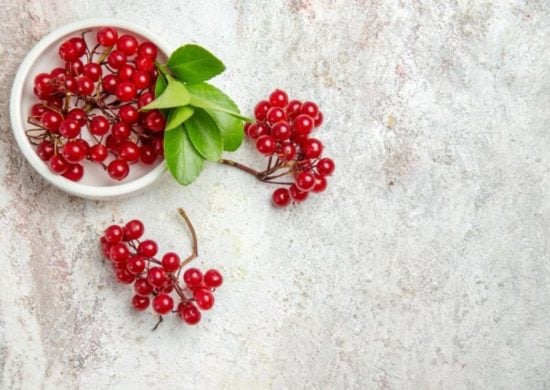 Cranberry tem benefícios para a memória e saúde vascular