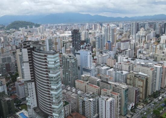 Saruês 'invadem' apartamento em Santos, no litoral de SP