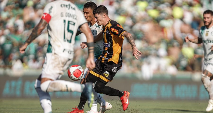 Novorizontino marcou gol no Palmeiras no último minuto do jogo - Foto: Reprodução/X @novorizontino