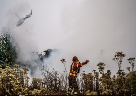 Incêndios florestais causam prejuízos no Chile - Foto: Reprodução/Instagram @gabrielboric