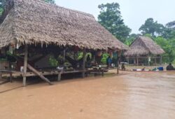 Aldeia Apiwtxa em Marechal Thaumaturgo é uma das mais atingidas por enchente — Foto: Yara Piyãko/Arquivo pessoal 