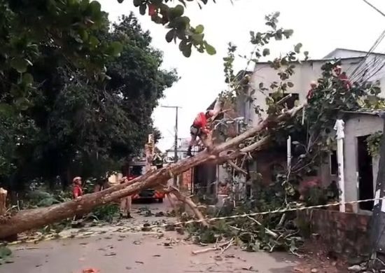 A árvore caiu em cima da casa e o tronco dela arrastou um fio de alta tensão