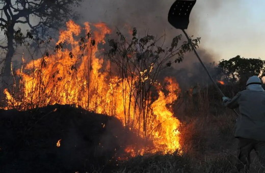 Amazônia bate recorde de queimadas em fevereiro