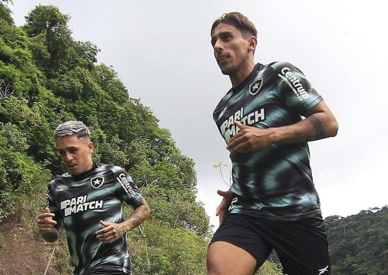 Botafogo busca a vitória na quarta-feira (28), às 21h30, no Nilton Santos - Foto: Reprodução/Instagram @botafogo