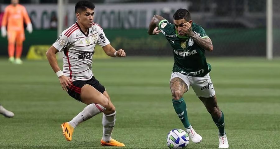 Dudu em ação pelo Palmeiras - Foto: Cesar Greco/Palmeiras