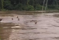 O jovem desapareceu nas aguas do Igarape São Francisco - Foto: Reprodução