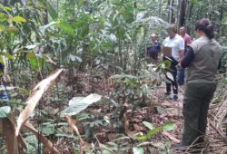 Febre amarela em Roraima