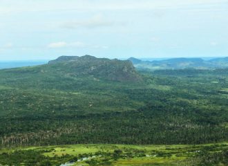 Multas ambientais Pará tem 'mutirão' para pagamentos pendentes