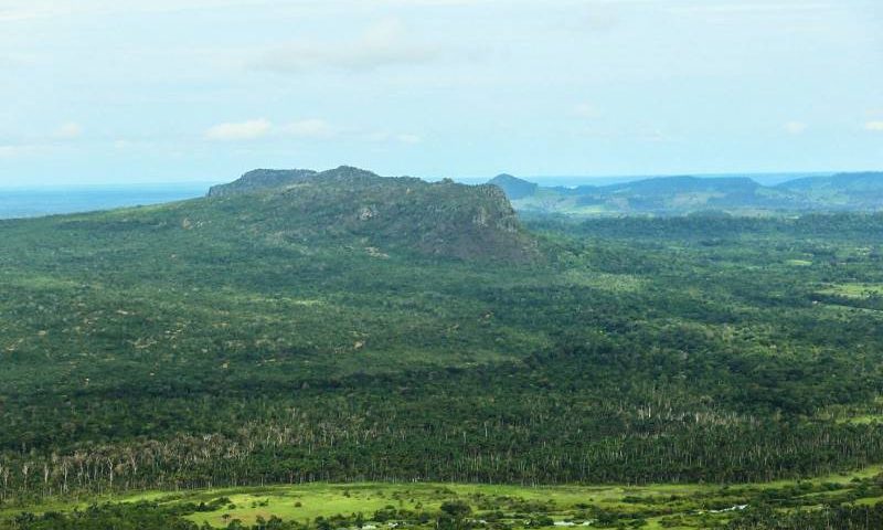 Multas ambientais Pará tem 'mutirão' para pagamentos pendentes