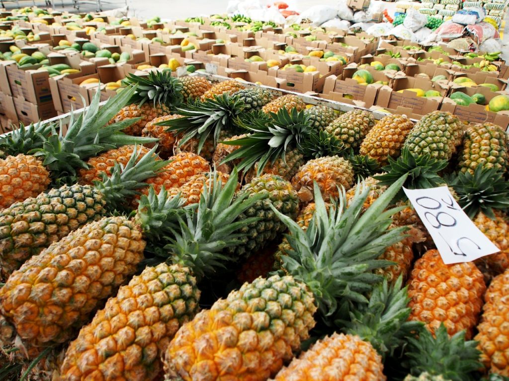 Na Aleam, deputado sugere títulos de frutas e árvore para cidades do AM; entenda