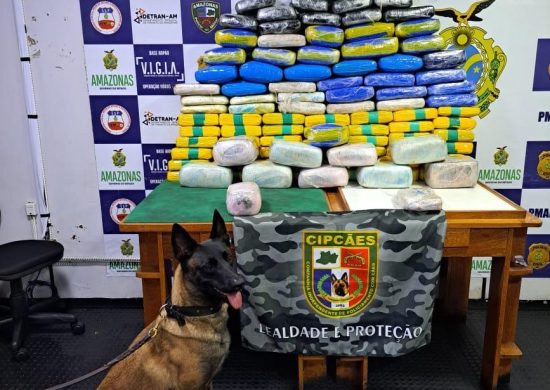 A apreensão das drogas causa danos de mais de R$ 4,4 milhões ao crime - Foto: SSP-AM