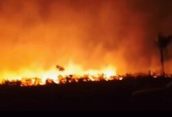 Queimadas em Roraima assustam moradores de Amajari, interior de Roraima