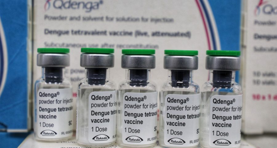 Vacinas contra a dengue chegaram neste sábado (10) - Foto: Roberto Carlos/Secom